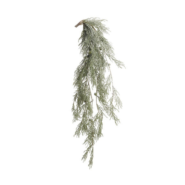 Hanging frosted Cypress