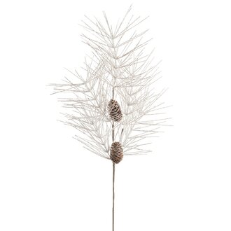 Branche de Pin Étincelles Champagne