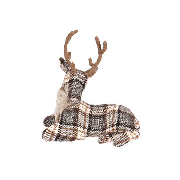 Checkered Roe Deer - Lying