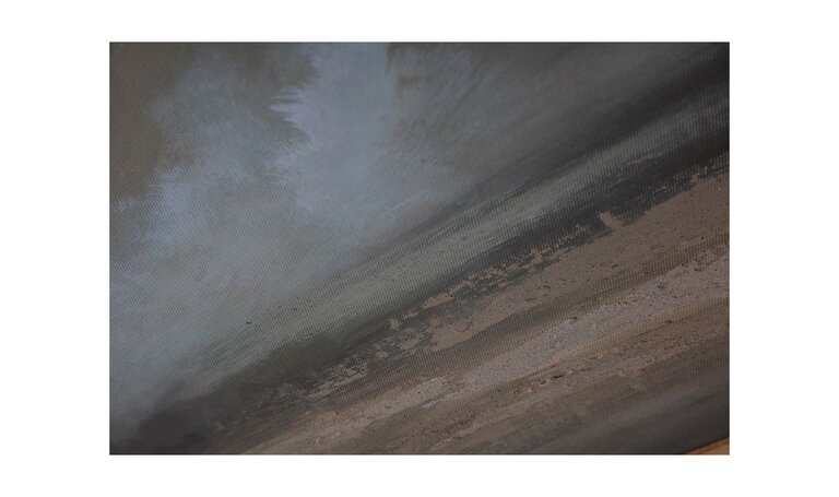 Moe's Home Toile "Lulled Sky"