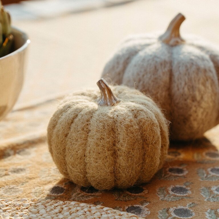 Pumpkin medium - Oat