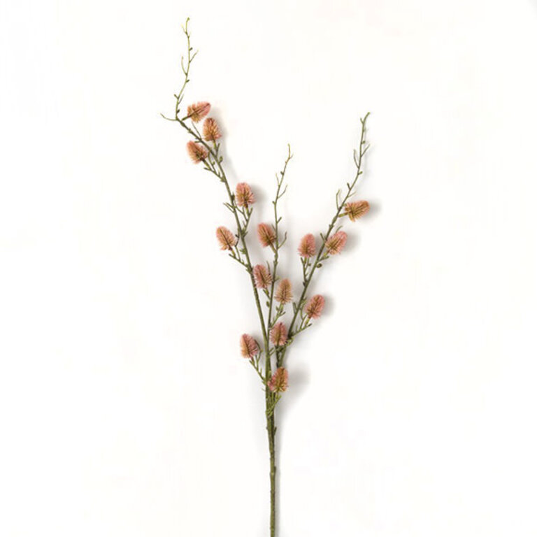 Willow stem in flower