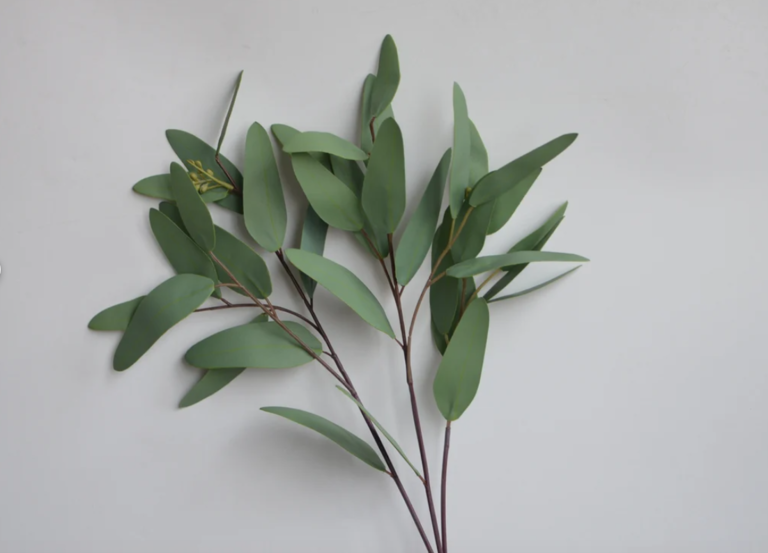 Bouquet d'eucalyptus Saule