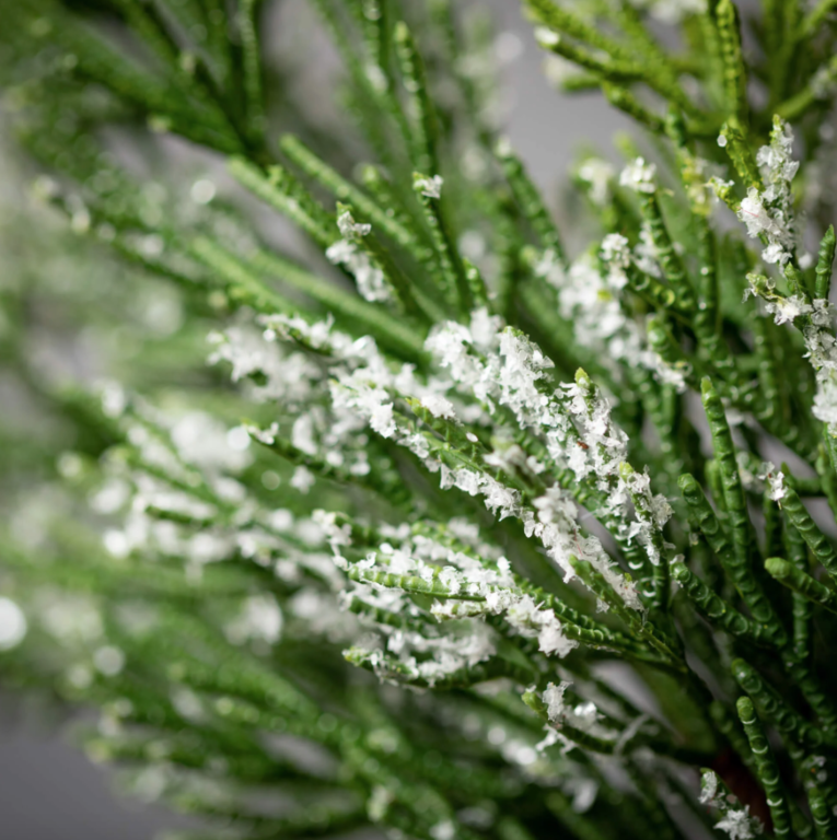 Frosted Cedar Wreath - 28" dia.