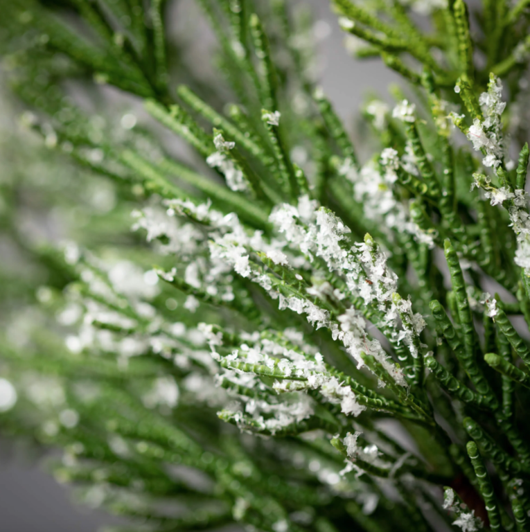 Frosted Cedar Wreath - 23" dia.