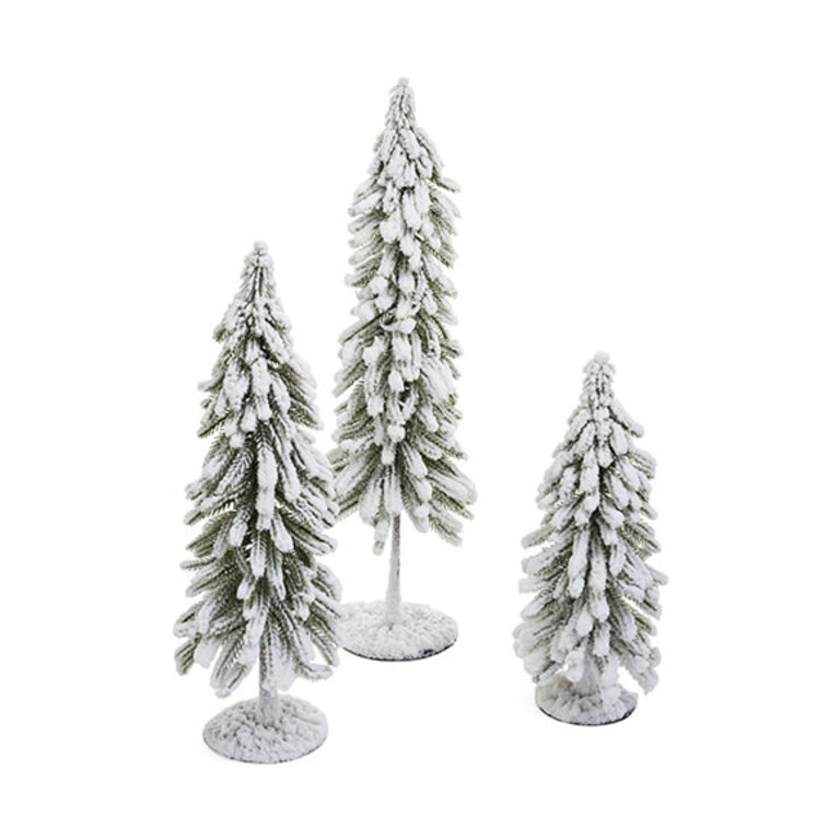 Snowy Fir