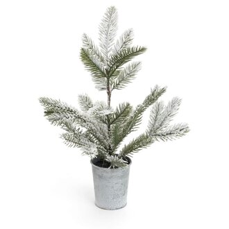 Frosted fir tree in metal pot