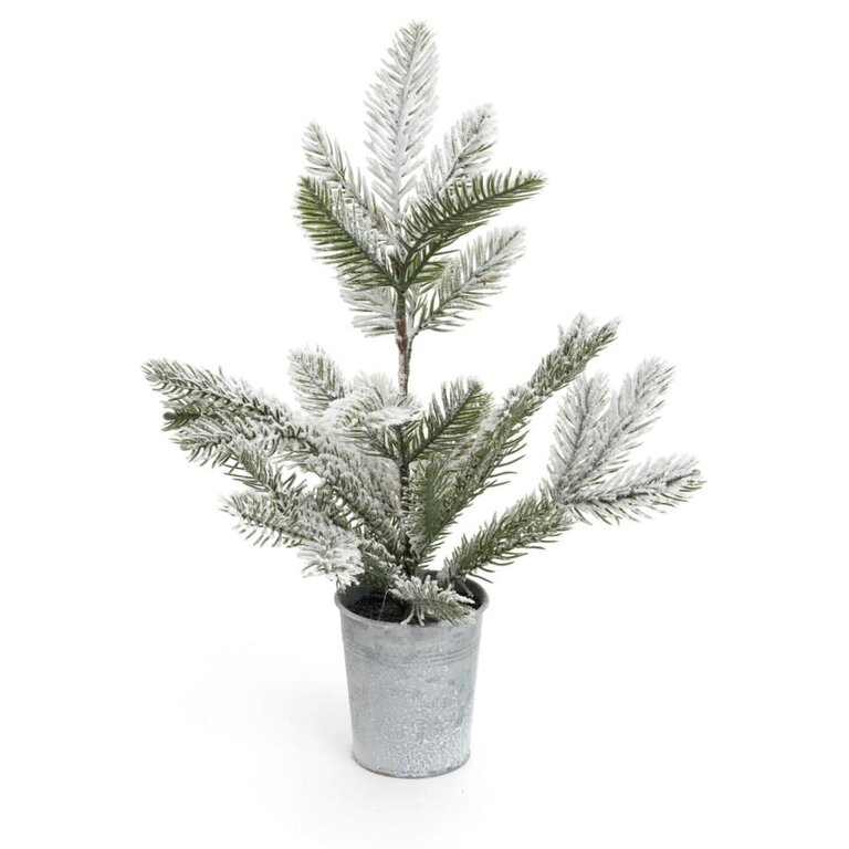 Frosted fir tree in metal pot