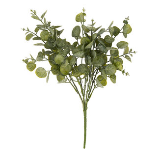 Bouquet d'eucalyptus