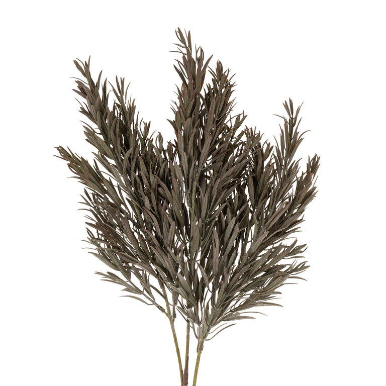 Honey Bracelet Spray