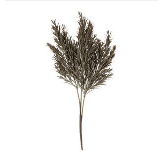 Honey Bracelet Spray