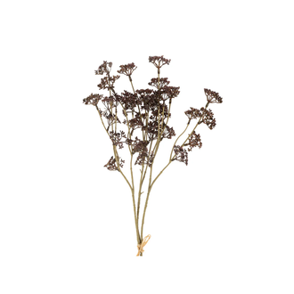 Bouquet de graminées des prés