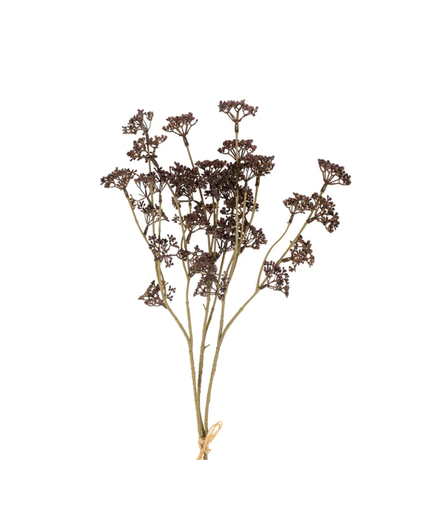 Bouquet of meadow grasses