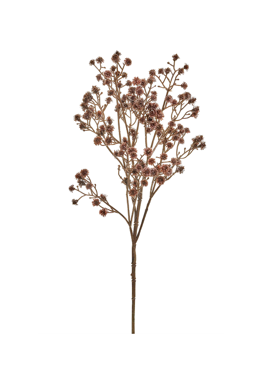 Flower stem - Purple