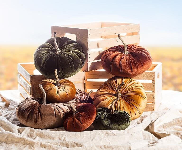 Velvet Pumpkin