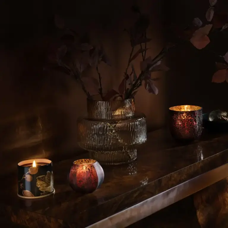 Illume Midnight Pumpkin Candle