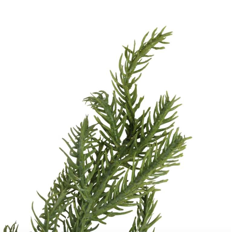 Norfolk Pine Garland