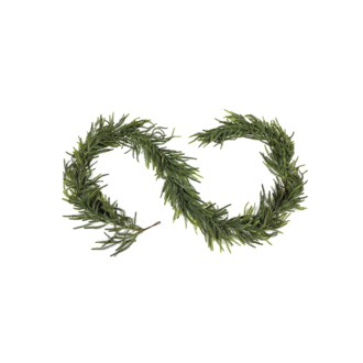 Norfolk Pine Garland