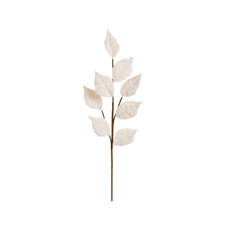 Tige Feuilles Brosse