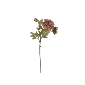 Peony Stem - Dusty Pink