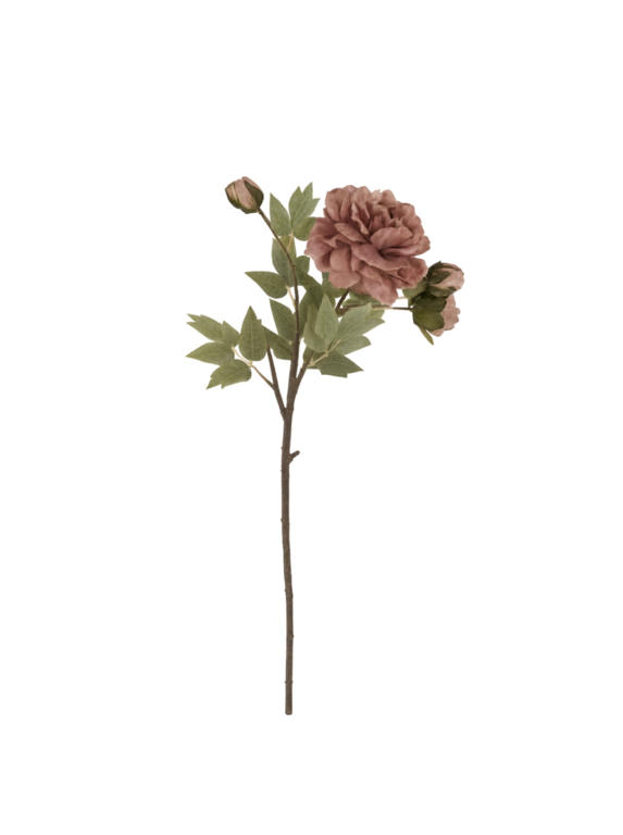 Peony Stem - Dusty Pink