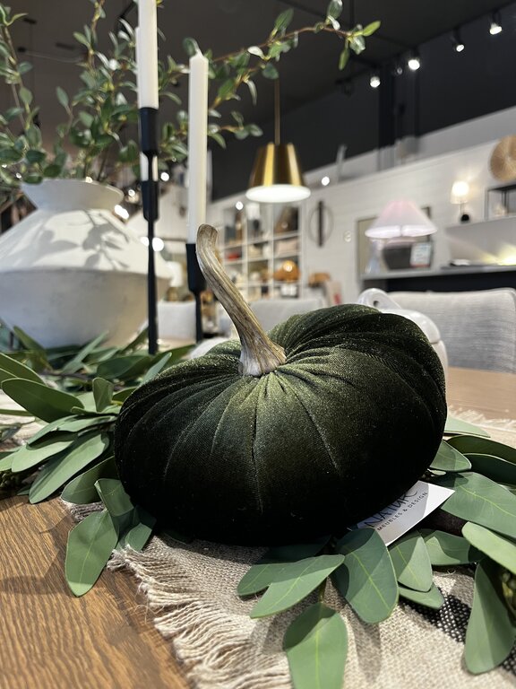 Citrouille de velour