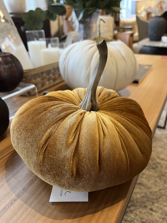 Citrouille de velour