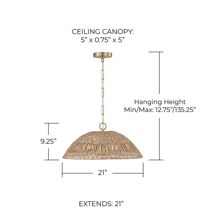 Capital Lighting Naomi suspension