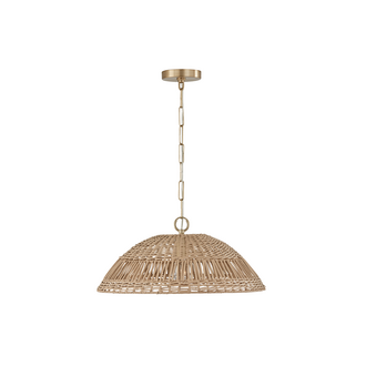 Capital Lighting Naomi suspension