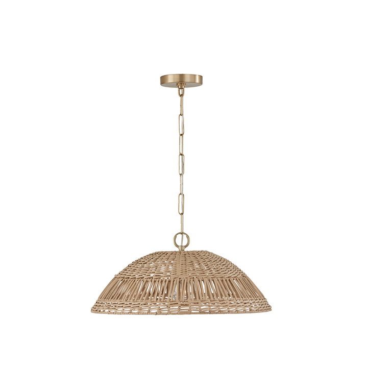 Capital Lighting Naomi suspension