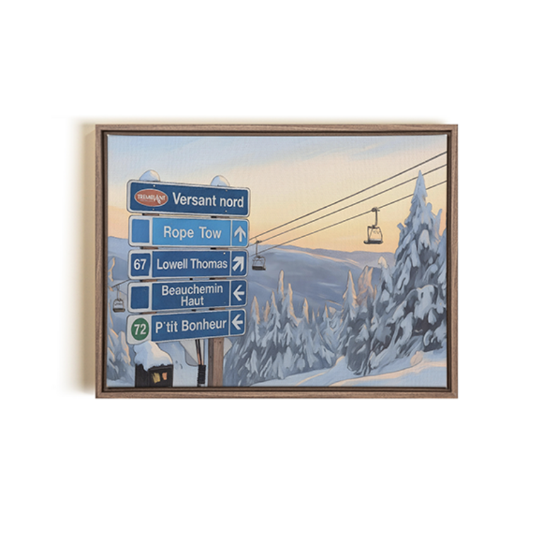 NATUR intérieurs x Oleka Frame "North Slope" by Michel Allaire