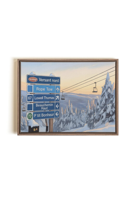 NATUR intérieurs x Oleka Frame "North Slope" by Michel Allaire