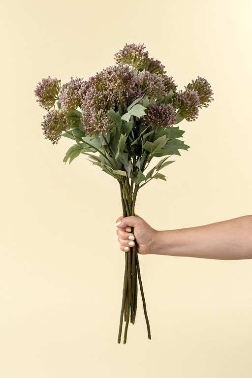 Indaba Sedum stem, purple