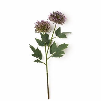 Indaba Tige de sédum, violet