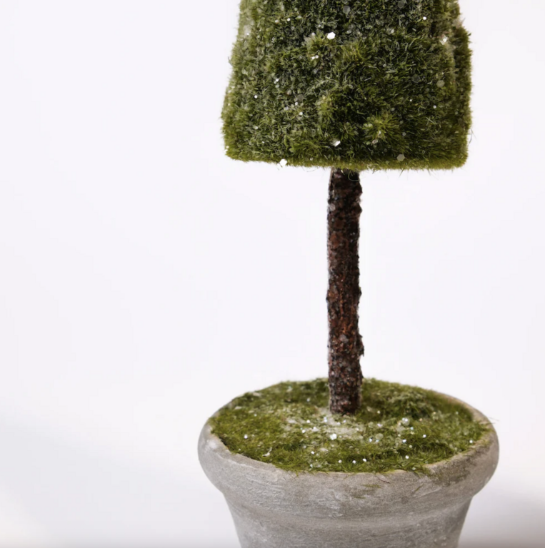 ADV/Pine Center Mossy potted tree