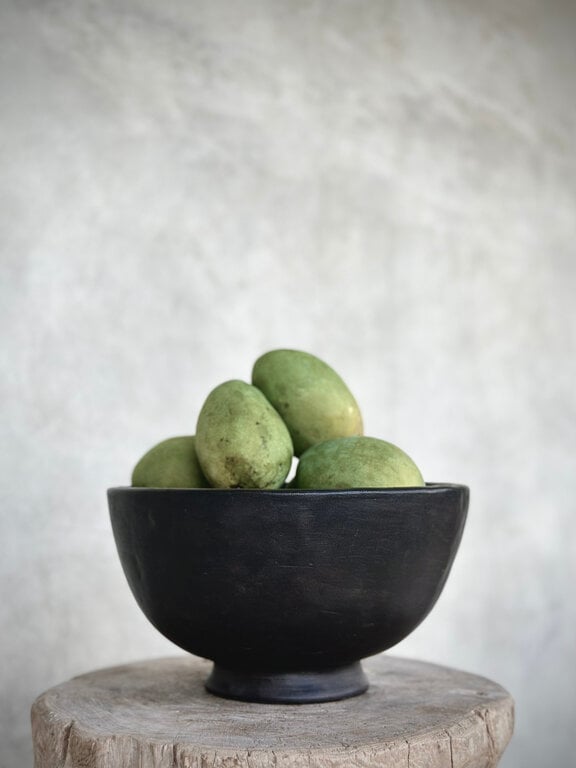 Portage Home Bol Champlain