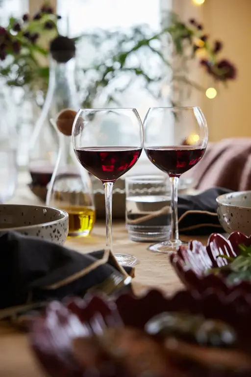 Sagaform Verres à vin Saga (Ens. de 2)