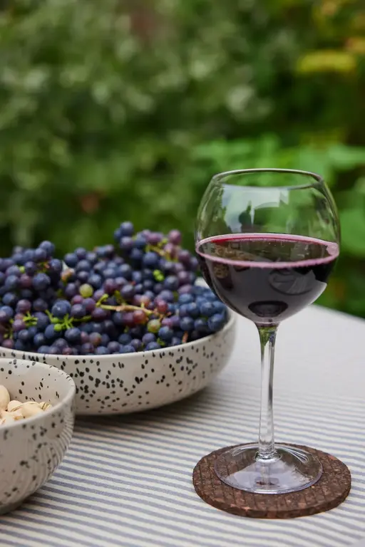 Sagaform Verres à vin Saga (Ens. de 2)