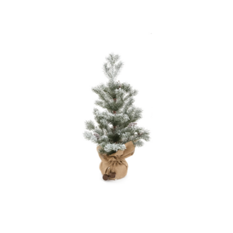 Sapin en sac de jute