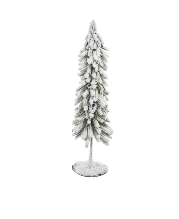 Snowy Fir