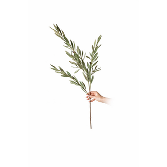 Luxe B Co Olive Branches Green Faux Stems
