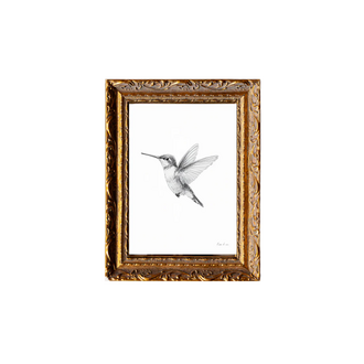 Luxe B Co Hummingbird Sketch - Gold Frame
