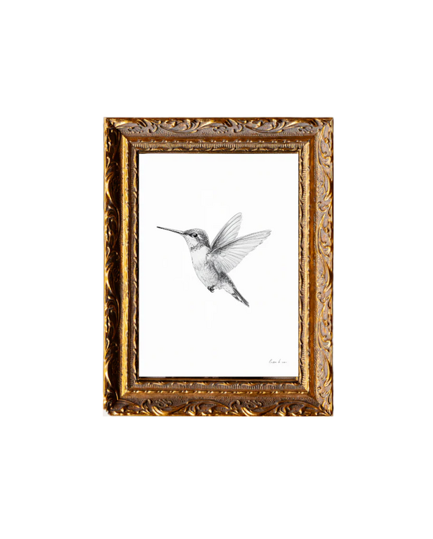 Luxe B Co Croquis de colibri - Cadre doré