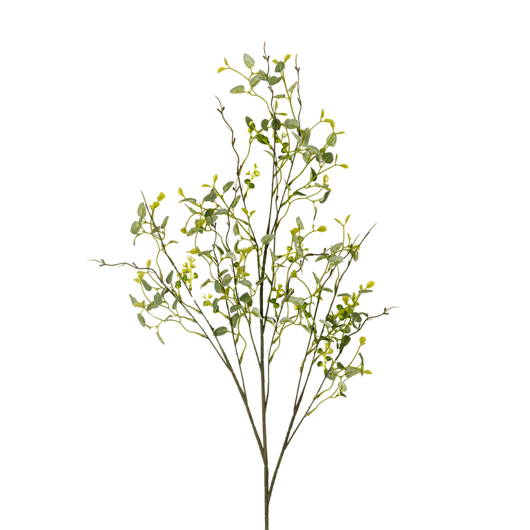 Indaba Branche d'eucalyptus Papillon