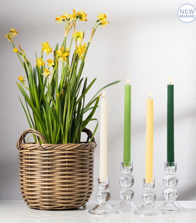 Abbott Collecttion Chandelle nervurée