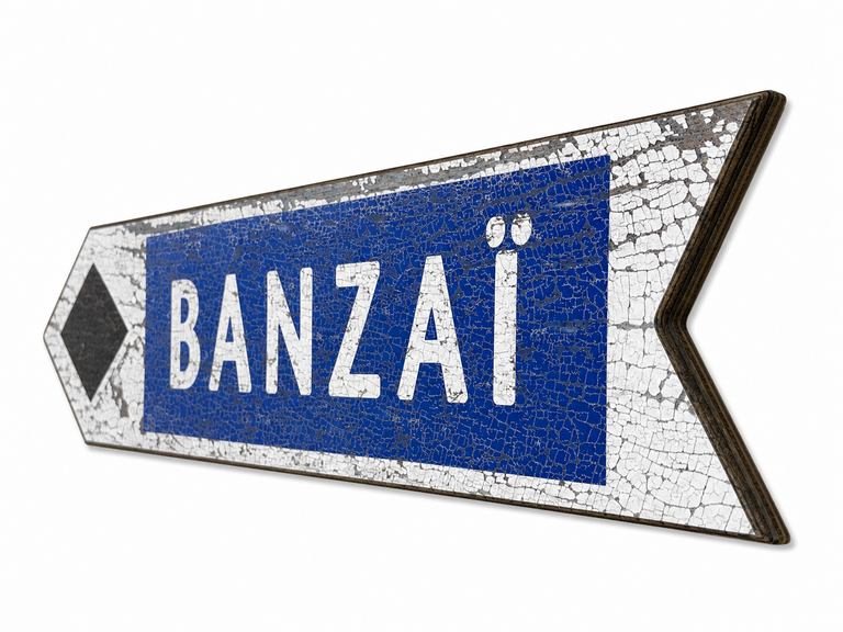 Meissenburg designs Arrow Sign Track
