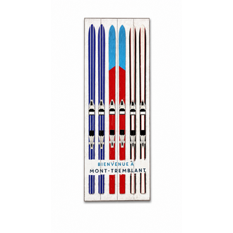 Enseigne Bienvenue skis bleus