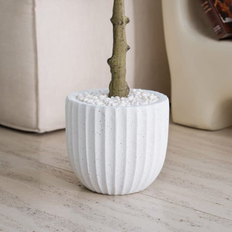 Arbre Olivier en pot Beige