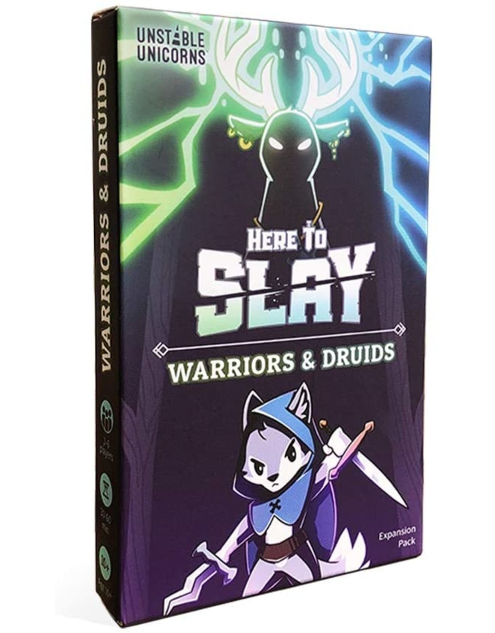 Tee Turtle Here to Slay: Warriors & Druids