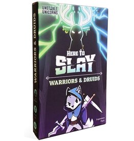 Tee Turtle Here to Slay: Warriors & Druids